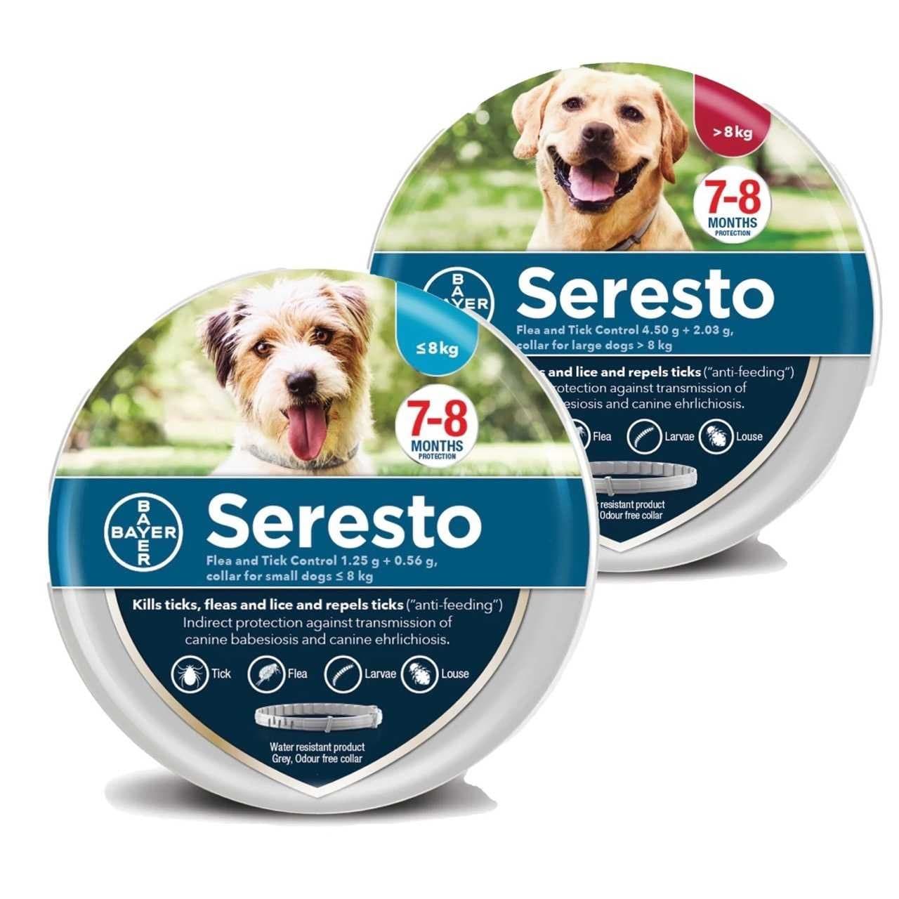 ELANCO Seresto Collier Antiparasitaire Chat Gris 1 collier