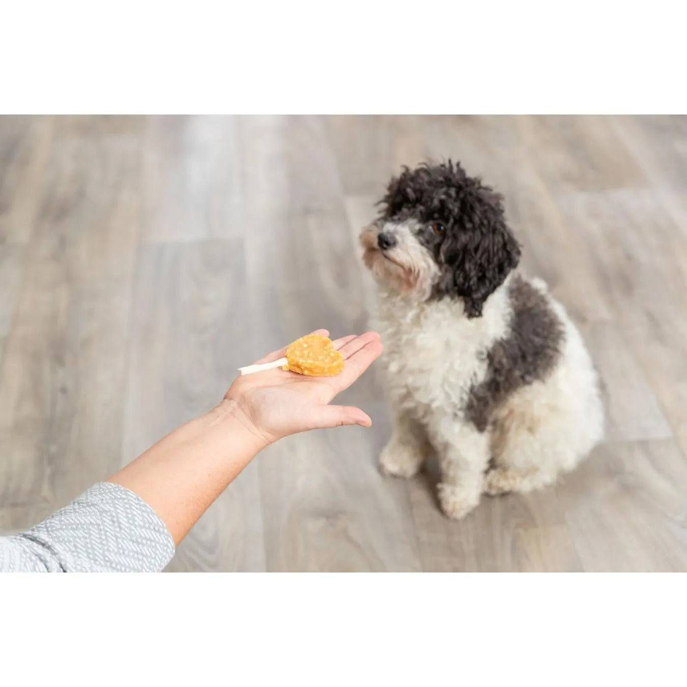 TRIXIE Premio Lolly au poulet & riz Friandise pour chien 10 cm 35 g