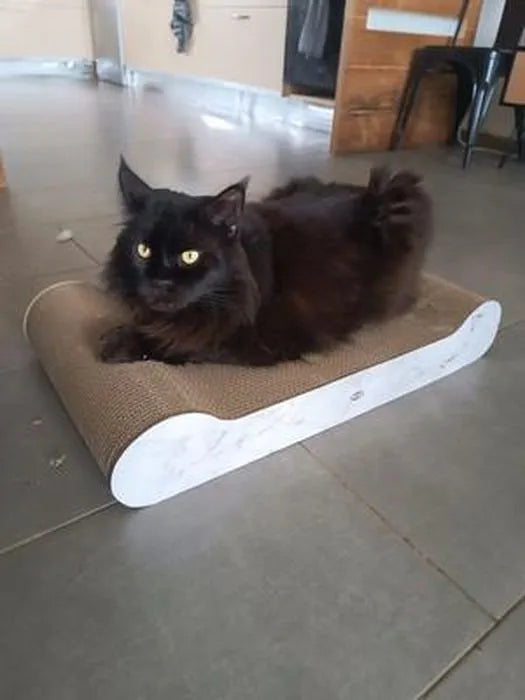 ZOOMALIN Griffoir Carton XXL Aspect Marbre Gris Clair 64 x 11 x 37 cm