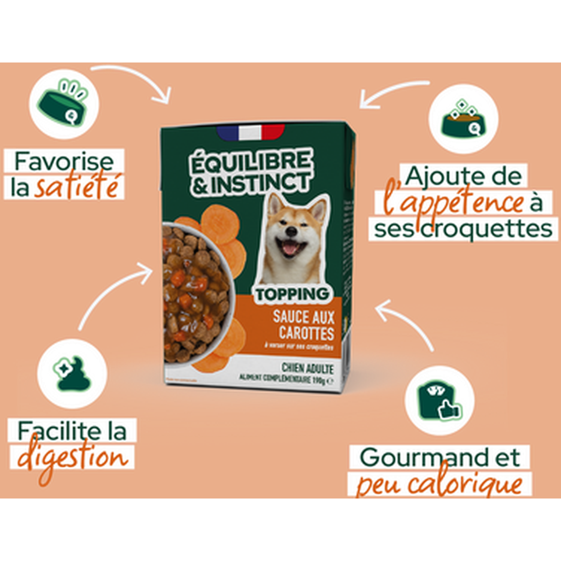 EQUILIBRE & INSTINCT Sauce aux Carottes pour Chien Adulte 100g