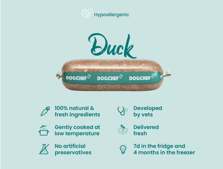 DOG CHEF Pâtée Chien au Canard 400 g – Repas Frais Cuisiné Sans Additifs