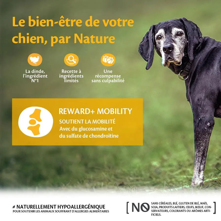 WELLNESS Core Chien Treats En-cas Dinde 170g