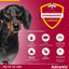 BAYER Advantix Pipettes Antiparasitaires Chien 4-10kg 4 Pipettes