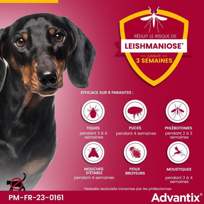 BAYER Advantix Pipettes Antiparasitaires Chien 4-10kg 4 Pipettes