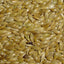 VERSELE LAGA Alpiste Blanc 1kg