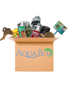 CROCI SPA AMTRA Sable Aragonite Moyen 2-3mm 10Kg