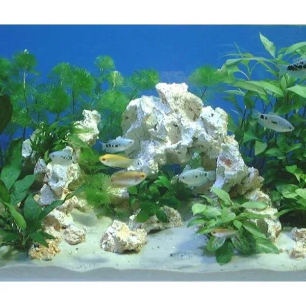 ARKA BIOTECHNOLOGIE Roche céramique Column Slim 40cm pour aquarium marin