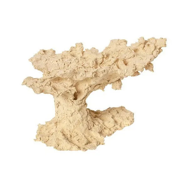 ARKA BIOTECHNOLOGIE Roche céramique Arch 20x10cm