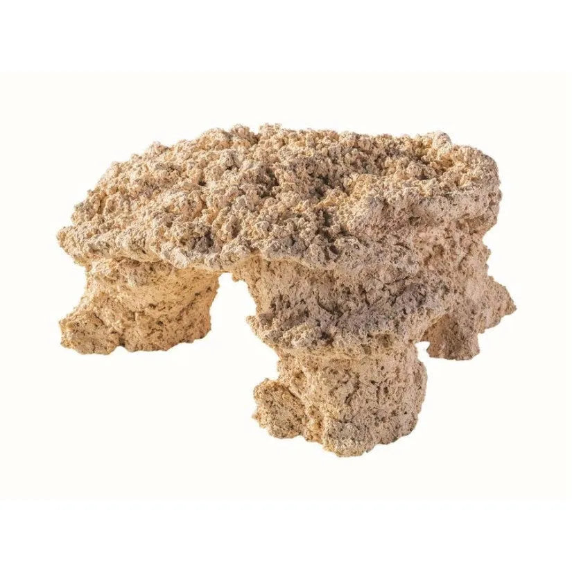 ARKA BIOTECHNOLOGIE Roche céramique Arch 20x10cm