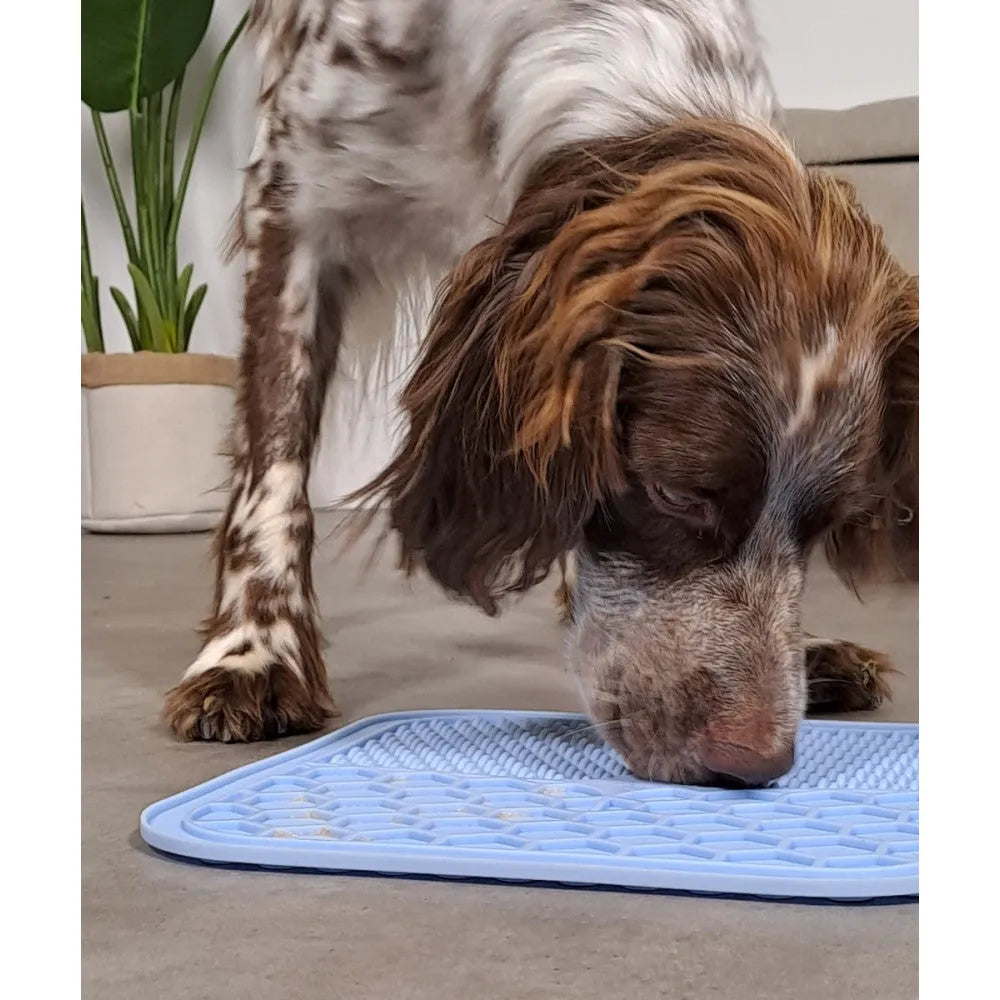 ZOLUX Tapis Écuelles Silicone L Bleu 55x39cm