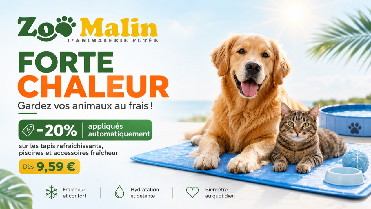 Forte chaleur - gardez vos animaux au frais chez ZooMalin (-20% automatique)