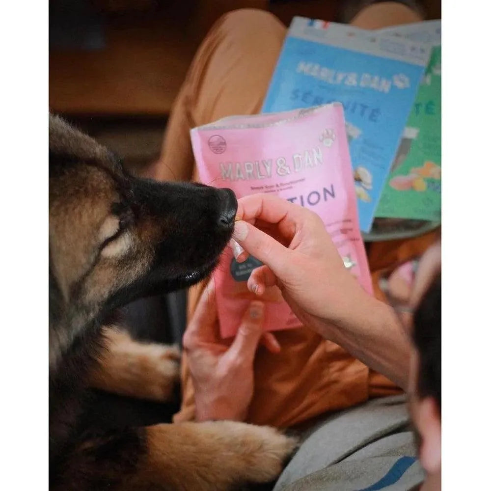 MARLY ET DAN Barres à mâcher Digestion Chien 80g