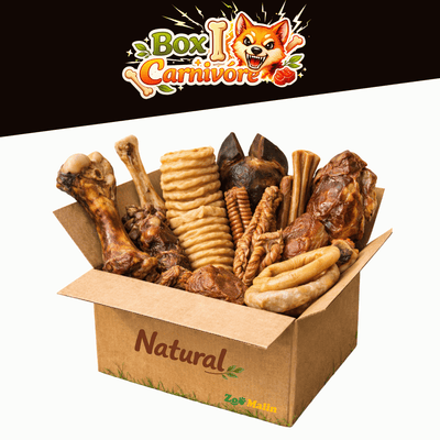 Box carnivore