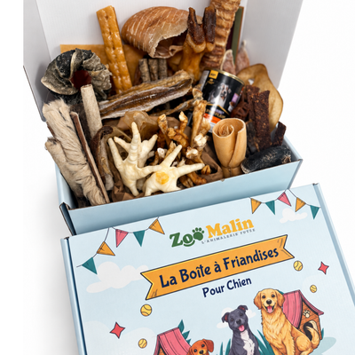 Box Évènement - Maxi contenu mini prix
