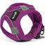 ZOOMALIN Harnais Air Mesh Trek Star Chien