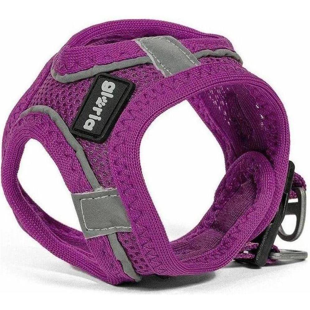 ZOOMALIN Harnais Air Mesh Trek Star Chien