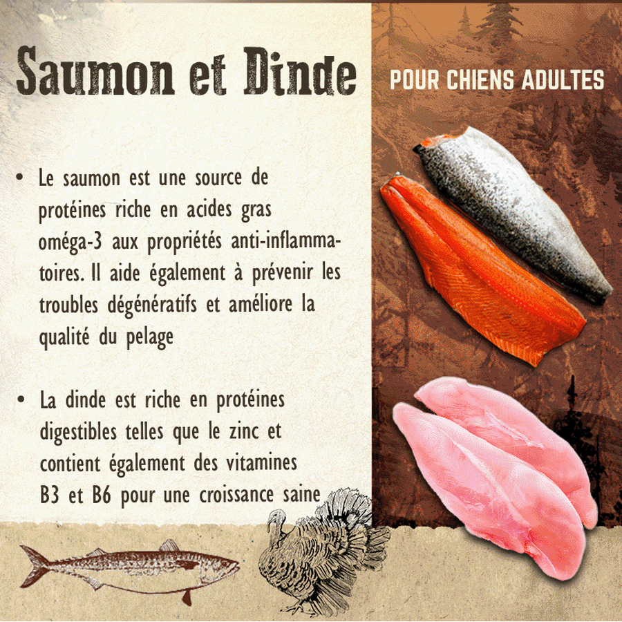 CARNILOVE Adult Large Saumon & Dinde 12kg