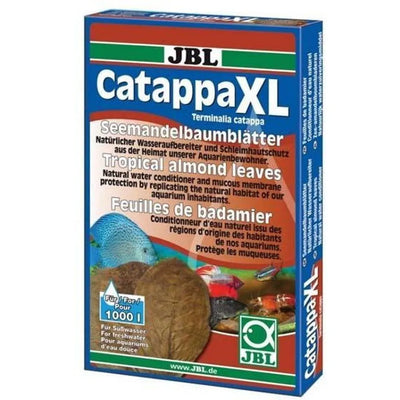 CATAPPA XL feuille de badamier