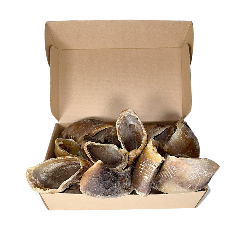 ZOOMALIN Sabot de Bœuf Évidé Friandise Naturelle pour Chien