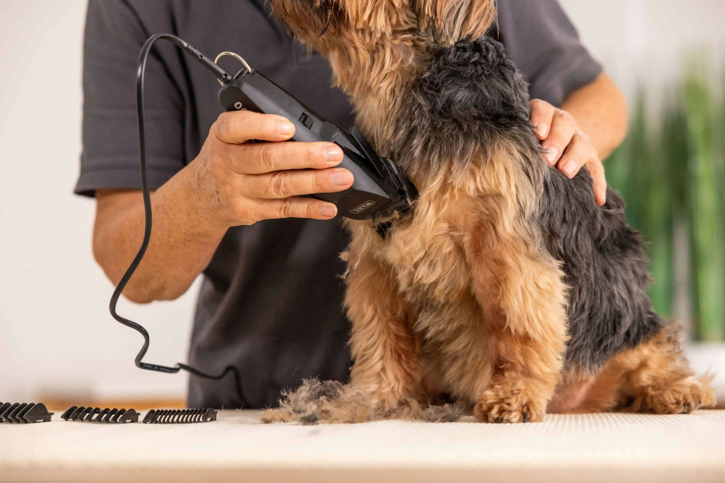 WAHL Tondeuse 1400 Filaire pour Chiens et Chats 0.7-3 mm 4 Peignes 230V