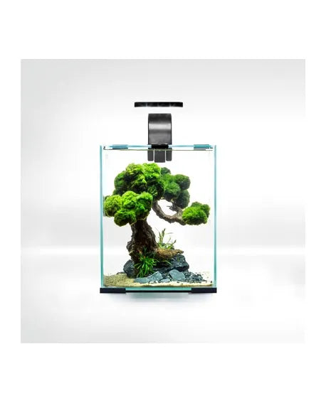 AQUAEL Aquarium Shrimp Set Smart Day & Night 10L Noir