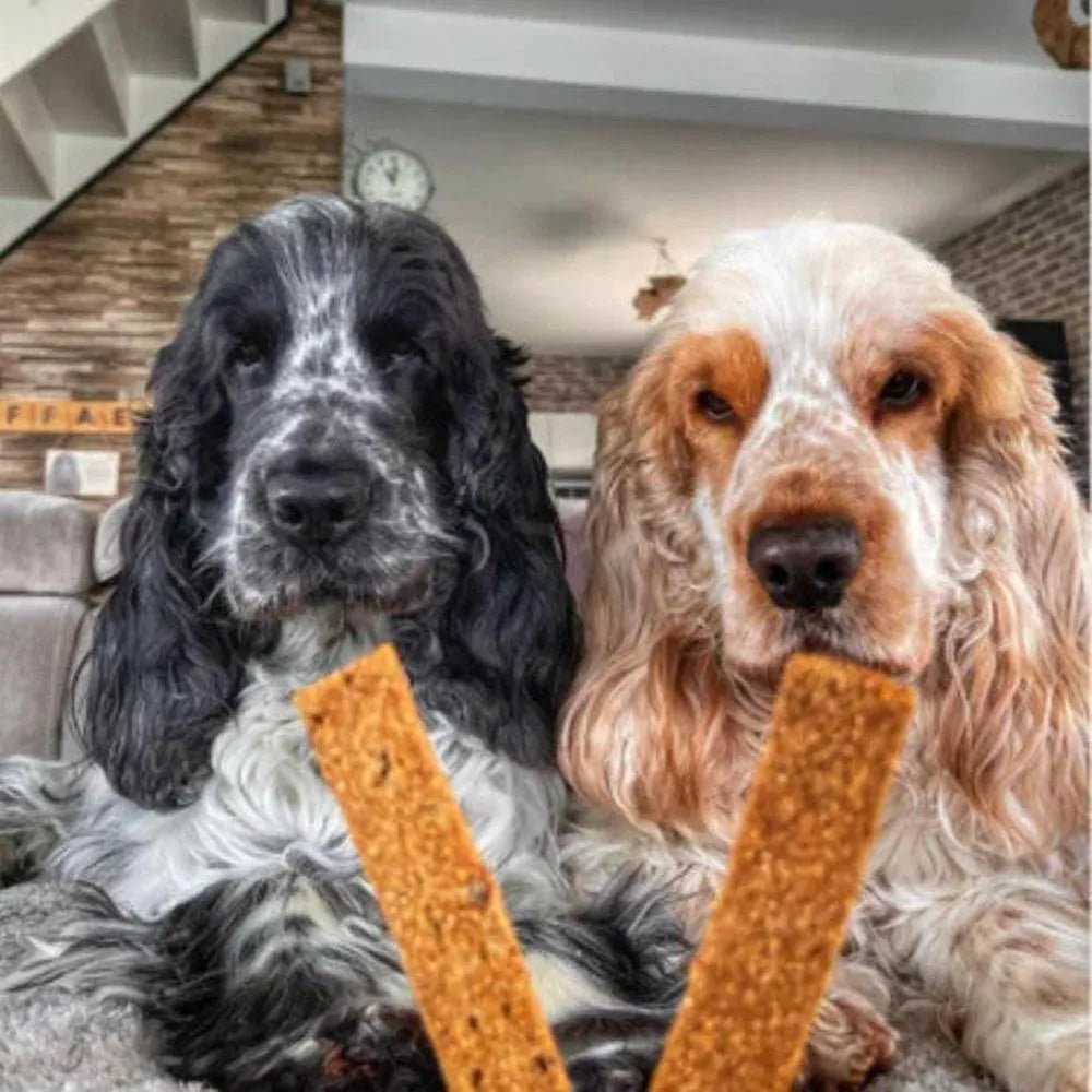 MARLY ET DAN Barres à mâcher Articulations Chien Saumon 80g