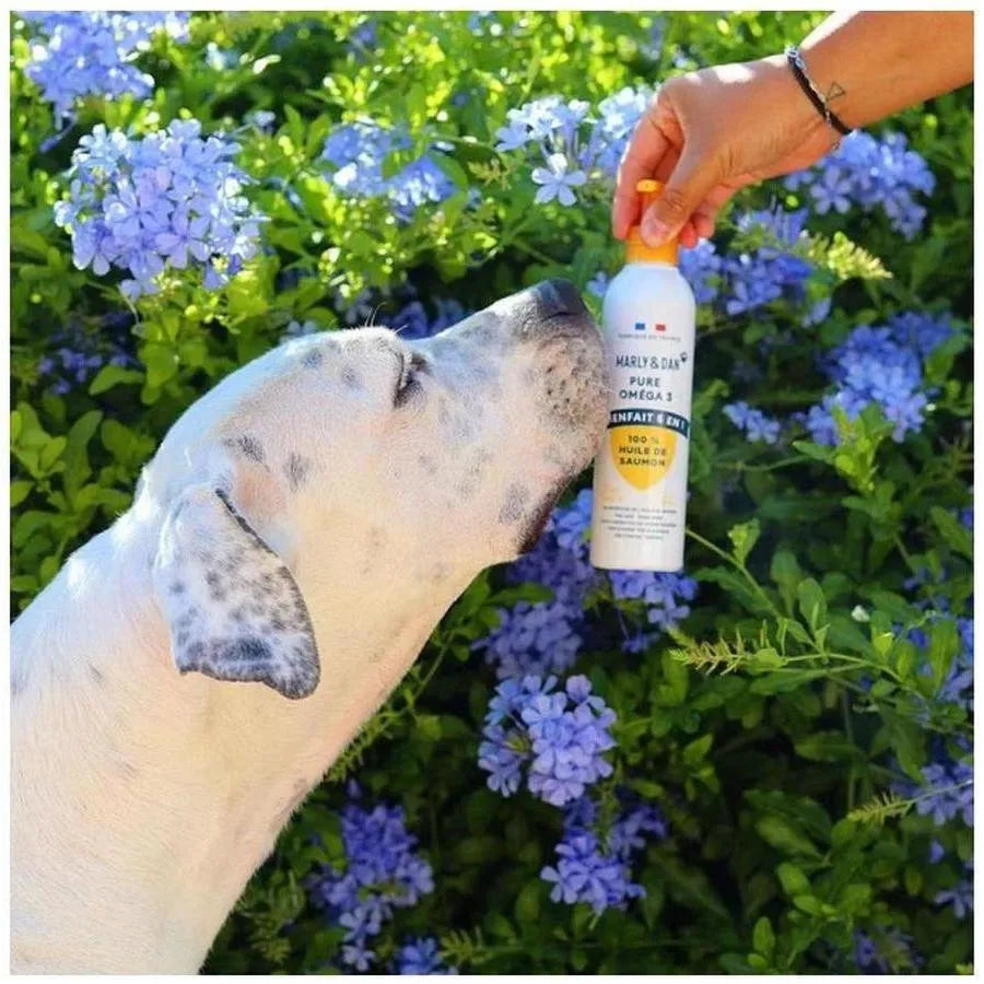 MARLY ET DAN Huile de saumon Pure Omega 3 100ml