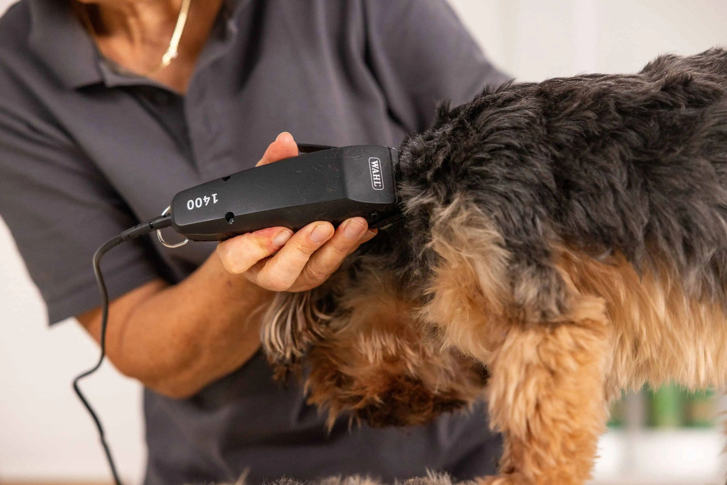 WAHL Tondeuse 1400 Filaire pour Chiens et Chats 0.7-3 mm 4 Peignes 230V