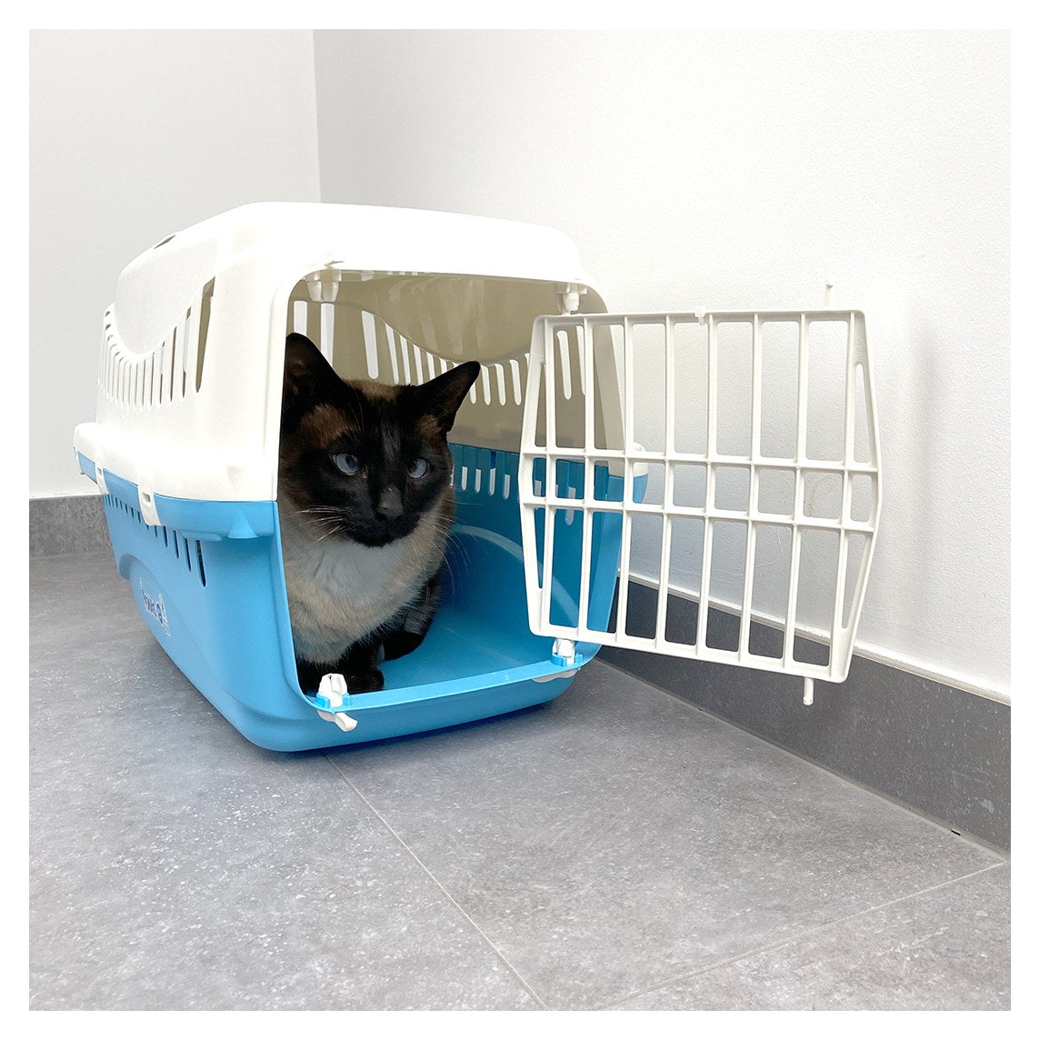 Box de transport Schtroumpf Costaud avec un chat