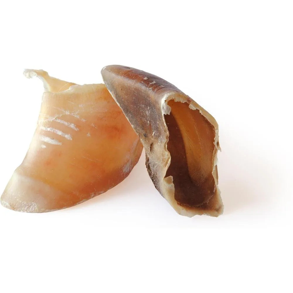 GRIZO Sabots de Veau pour Chien