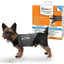 ZOOMALIN Gilet Relaxant XS Gris pour Chien Très Petit 4-6 kg Tour de Poitrine 33-43 cm