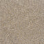 LAROY Sable brun fond de cage 20kg brun