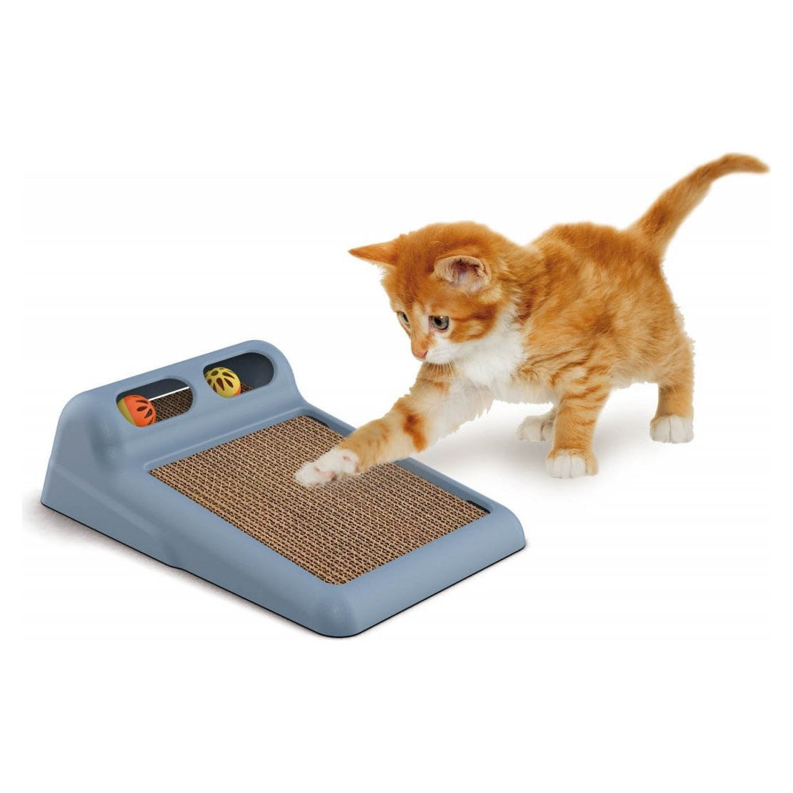 GEORPLAST Flipper avec un chaton