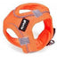 ZOOMALIN Harnais Air Mesh Trek Star Chien
