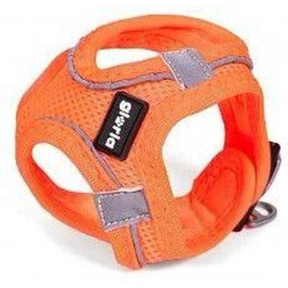 ZOOMALIN Harnais Air Mesh Trek Star Chien