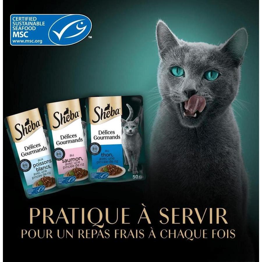 SHEBA Délices Gourmands Taste of Tokyo Thon Saumon Poisson Blanc Riz 6x50g