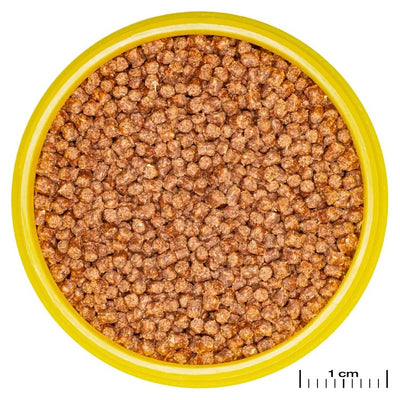 Granulés JBL ProNovo Fantail Grano S