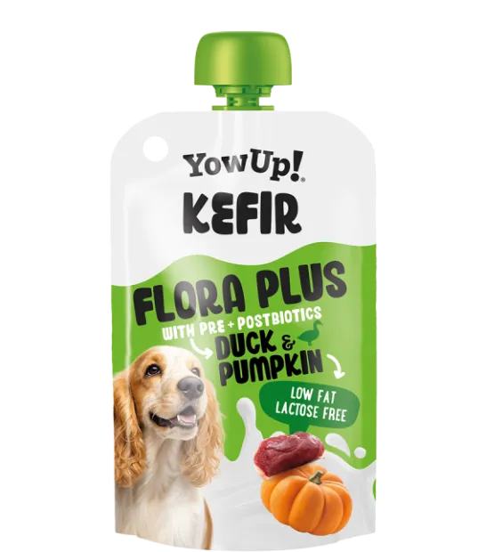 YOWUP Kéfir Flora Plus Canard & Courge Pré et Postbiotiques pour Chien 115 g