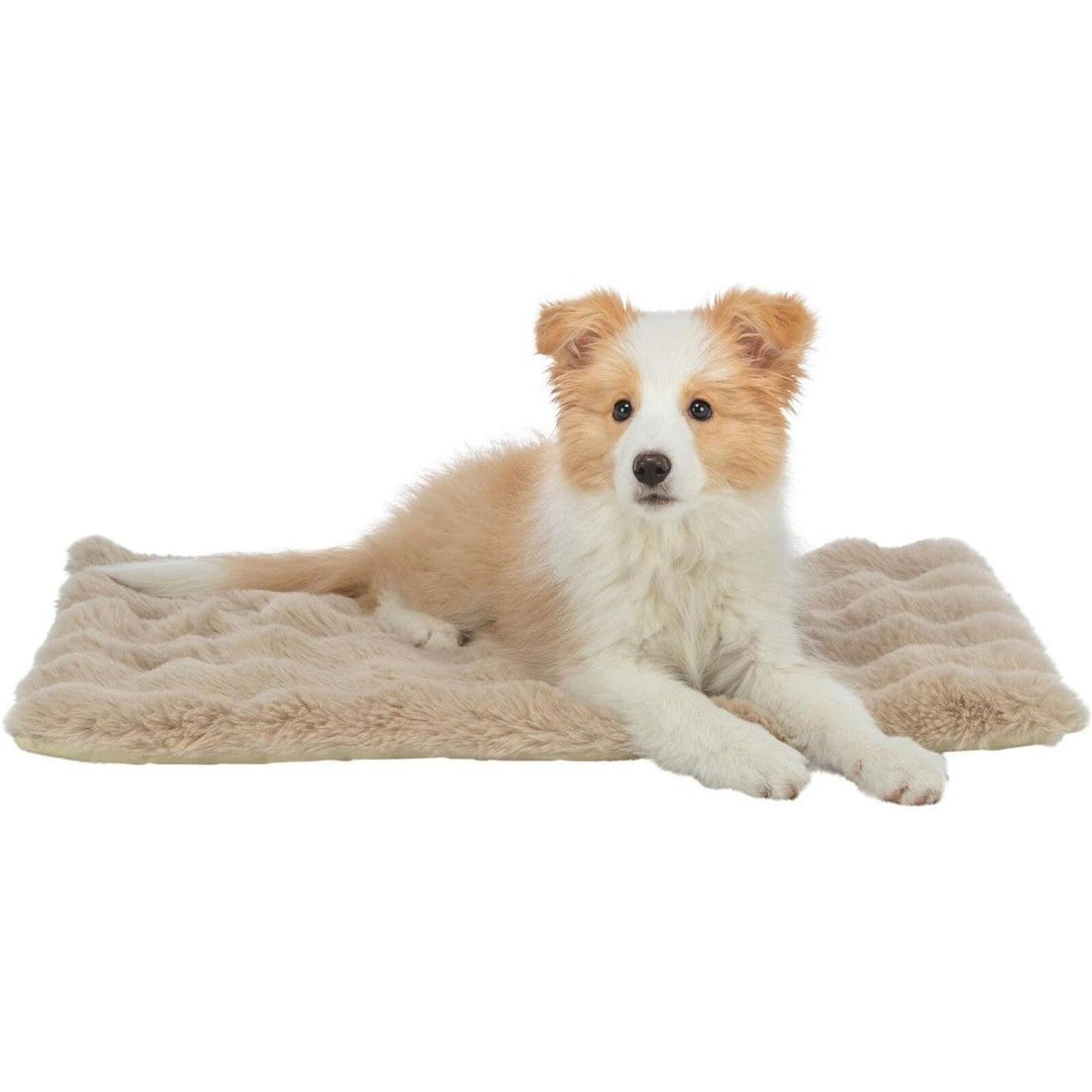 TRIXIE Couchage Elli 70x40cm
