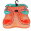 ZOOMALIN Harnais Air Mesh Trek Star Chien