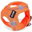 ZOOMALIN Harnais Air Mesh Trek Star Chien