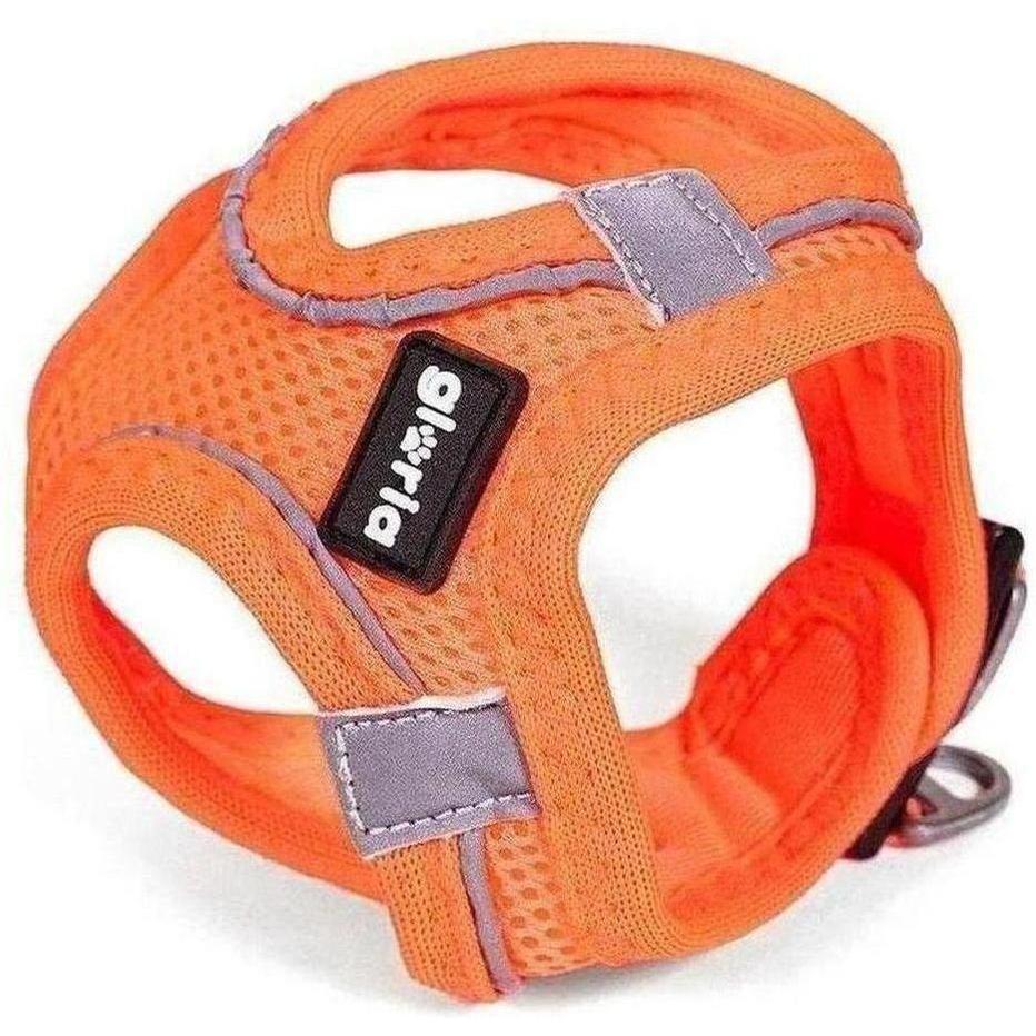 ZOOMALIN Harnais Air Mesh Trek Star Chien