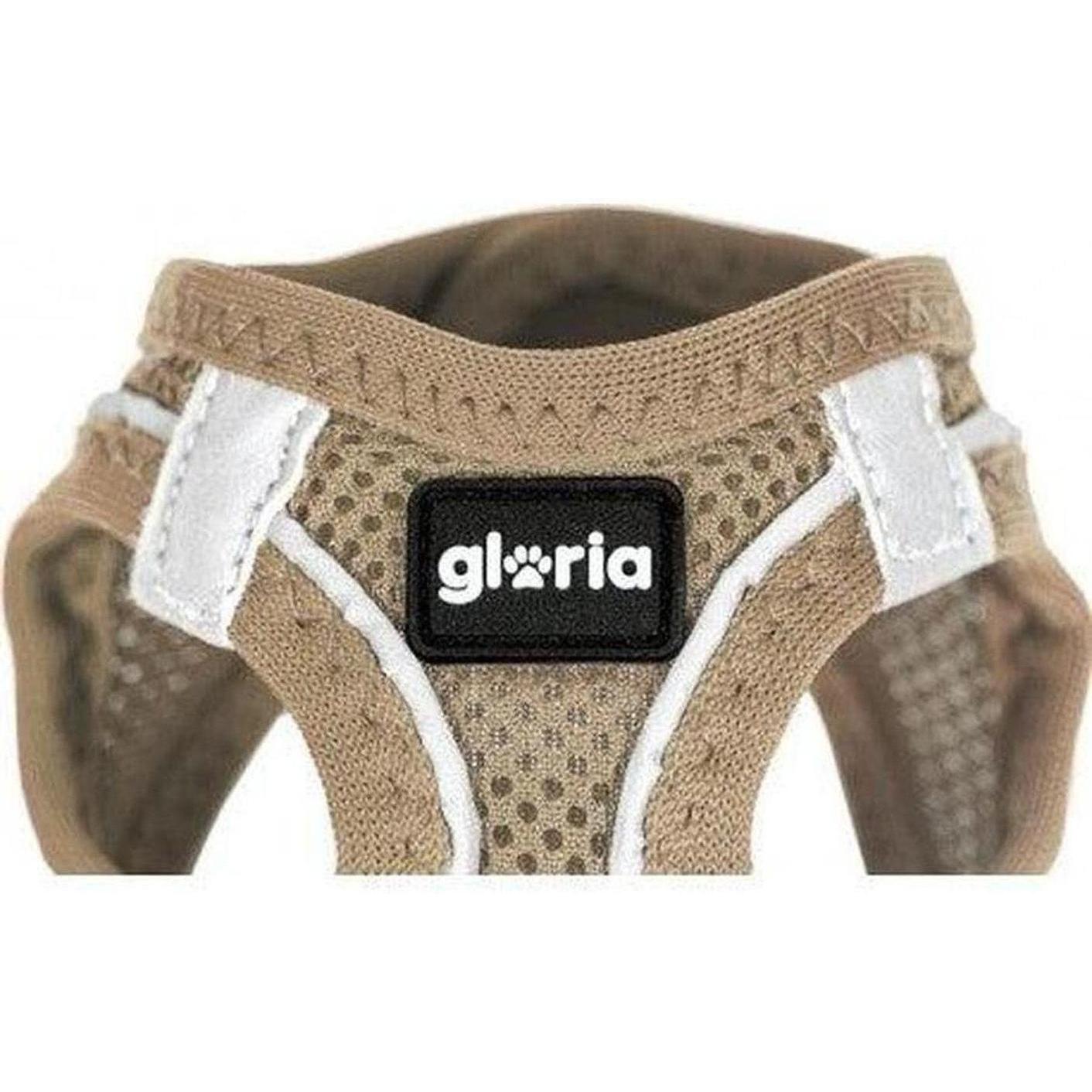 ZOOMALIN Harnais Air Mesh Trek Star Chien