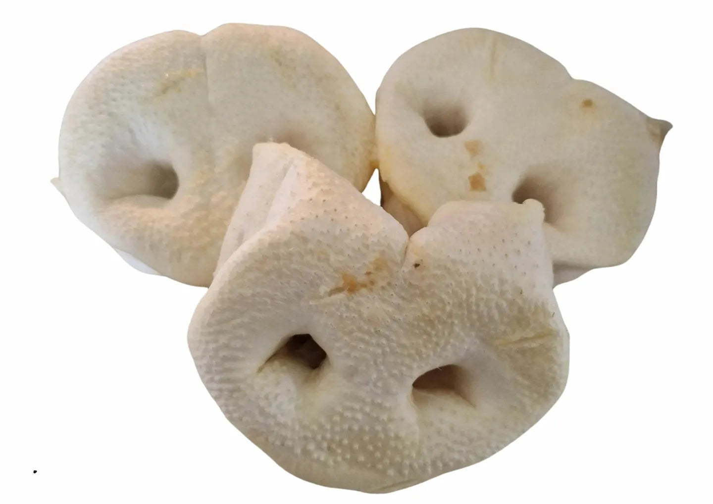 VADIGRAN Butcher Natural Nez de cochon soufflés Vrac 40g à la pièce