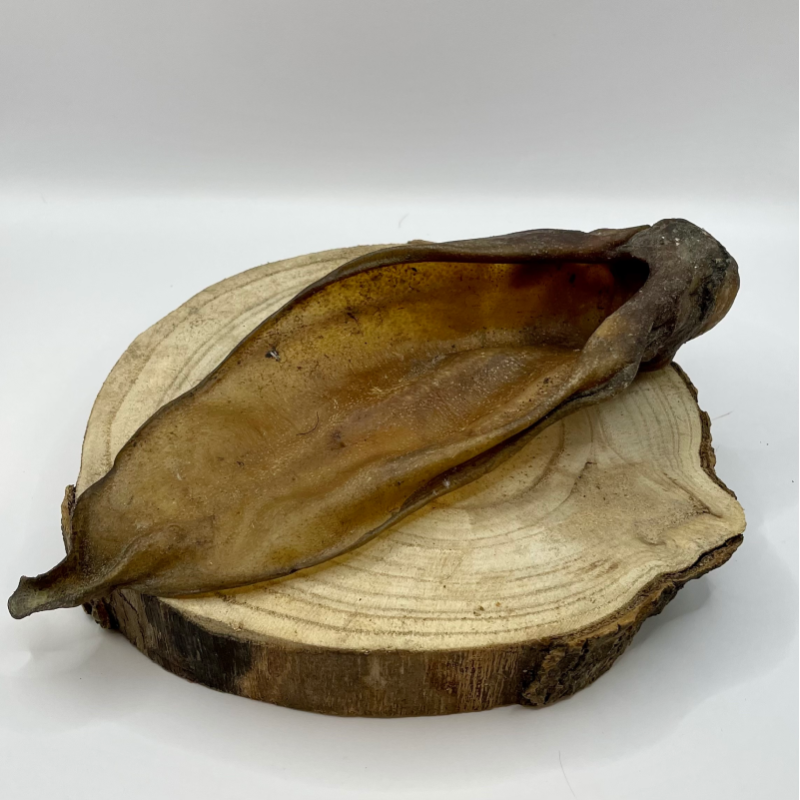 GRIZO Oreille de Boeuf Séchée Friandise Naturelle pour Chien