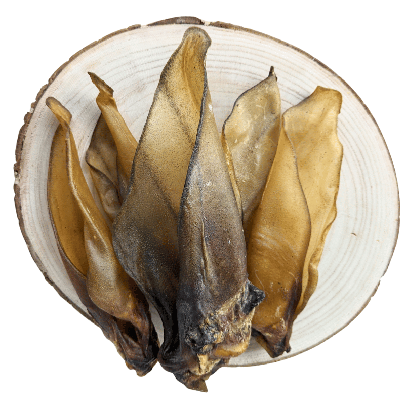 GRIZO Oreille de Boeuf Séchée Friandise Naturelle pour Chien