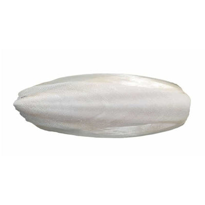 ZOOMALIN Os de seiche 12,5cm pour oiseaux avec clip de suspension