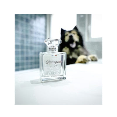 FRANCODEX Parfum City pour Chiens 50ml