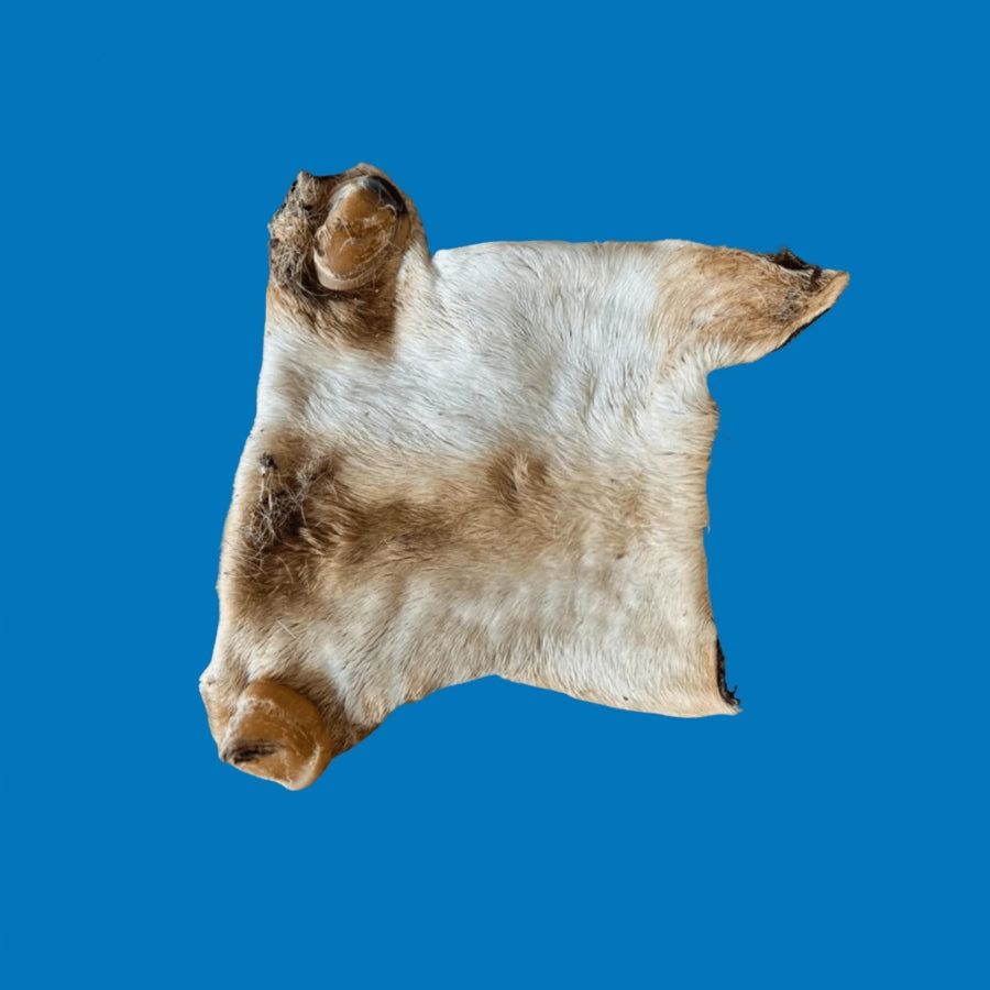 ZOOMALIN Plaque de Peau de Boeuf avec Poils Friandise Naturelle pour Chien 100% Boeuf