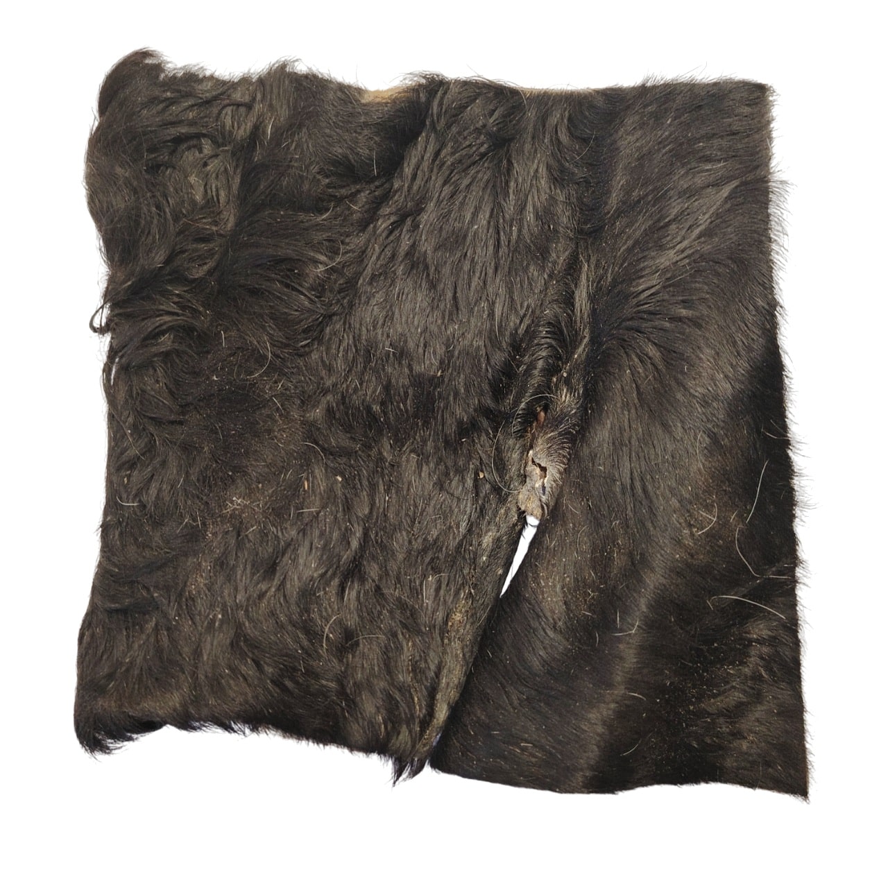 ZOOMALIN Plaque de Peau de Boeuf avec Poils Friandise Naturelle pour Chien 100% Boeuf